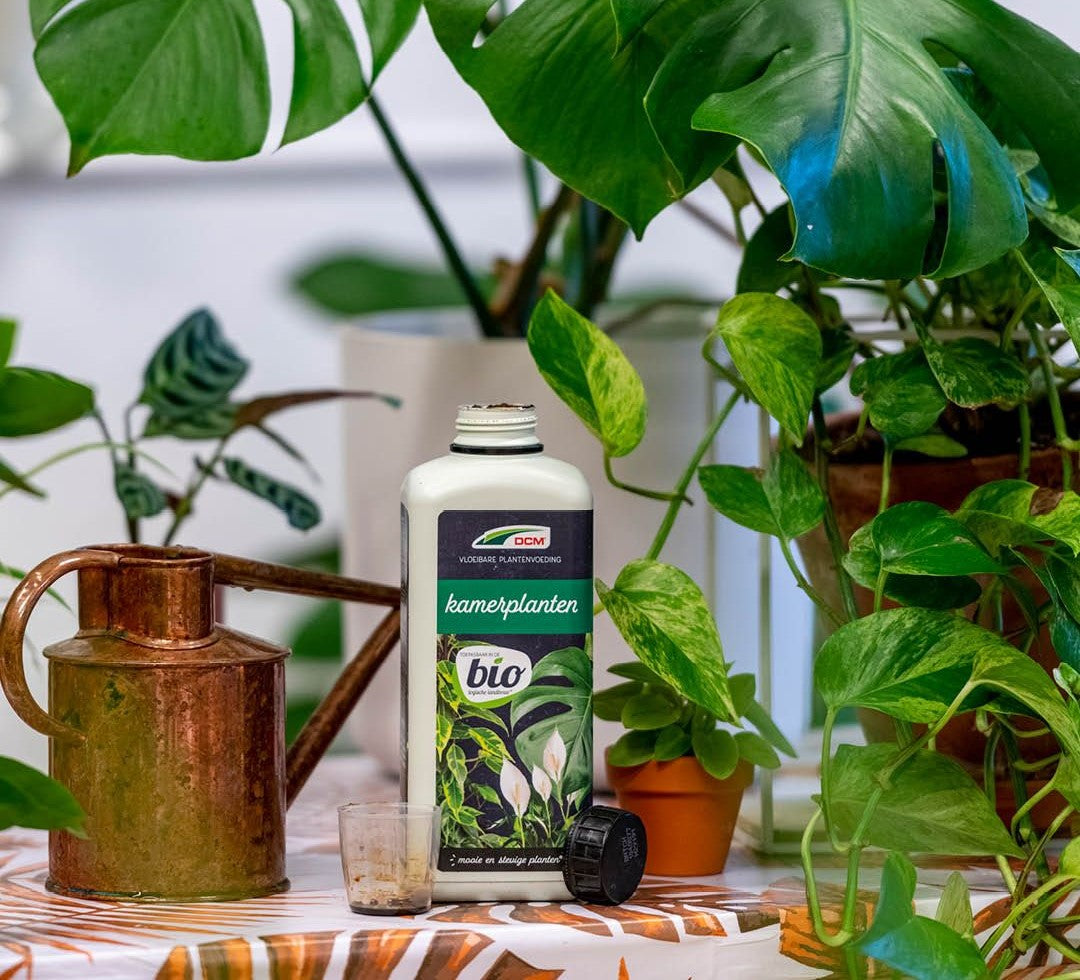 Vloeibaar en Vegan DCM