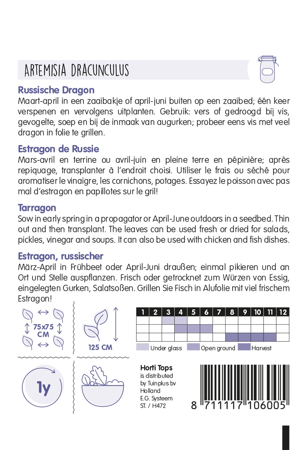 HT Dragon