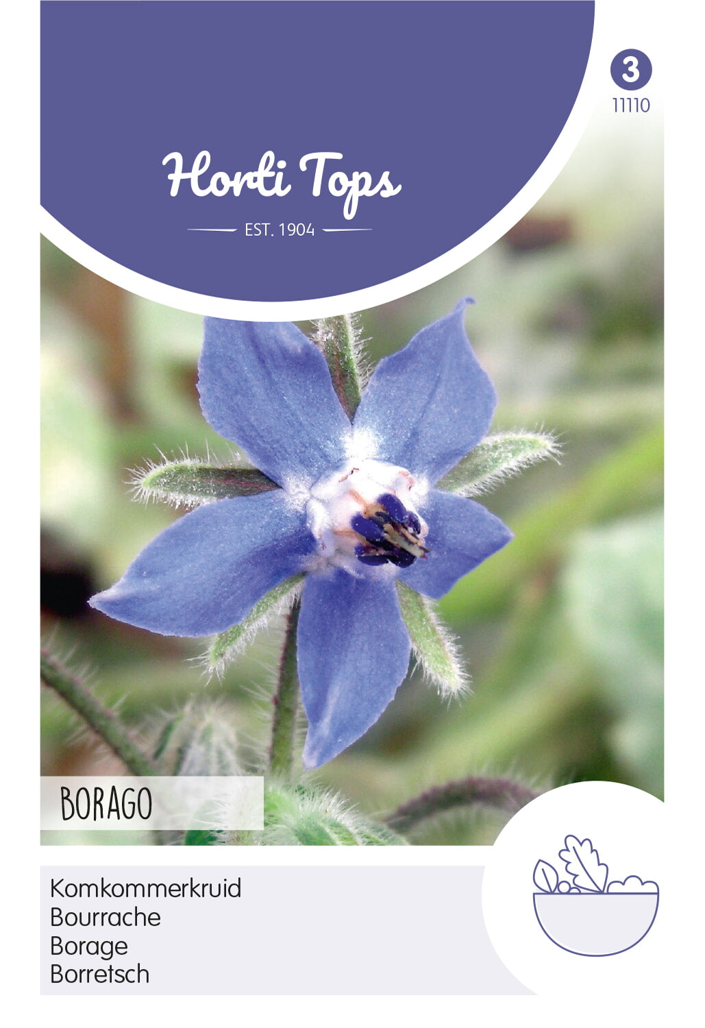 HT Komkommerkruid (Borage)