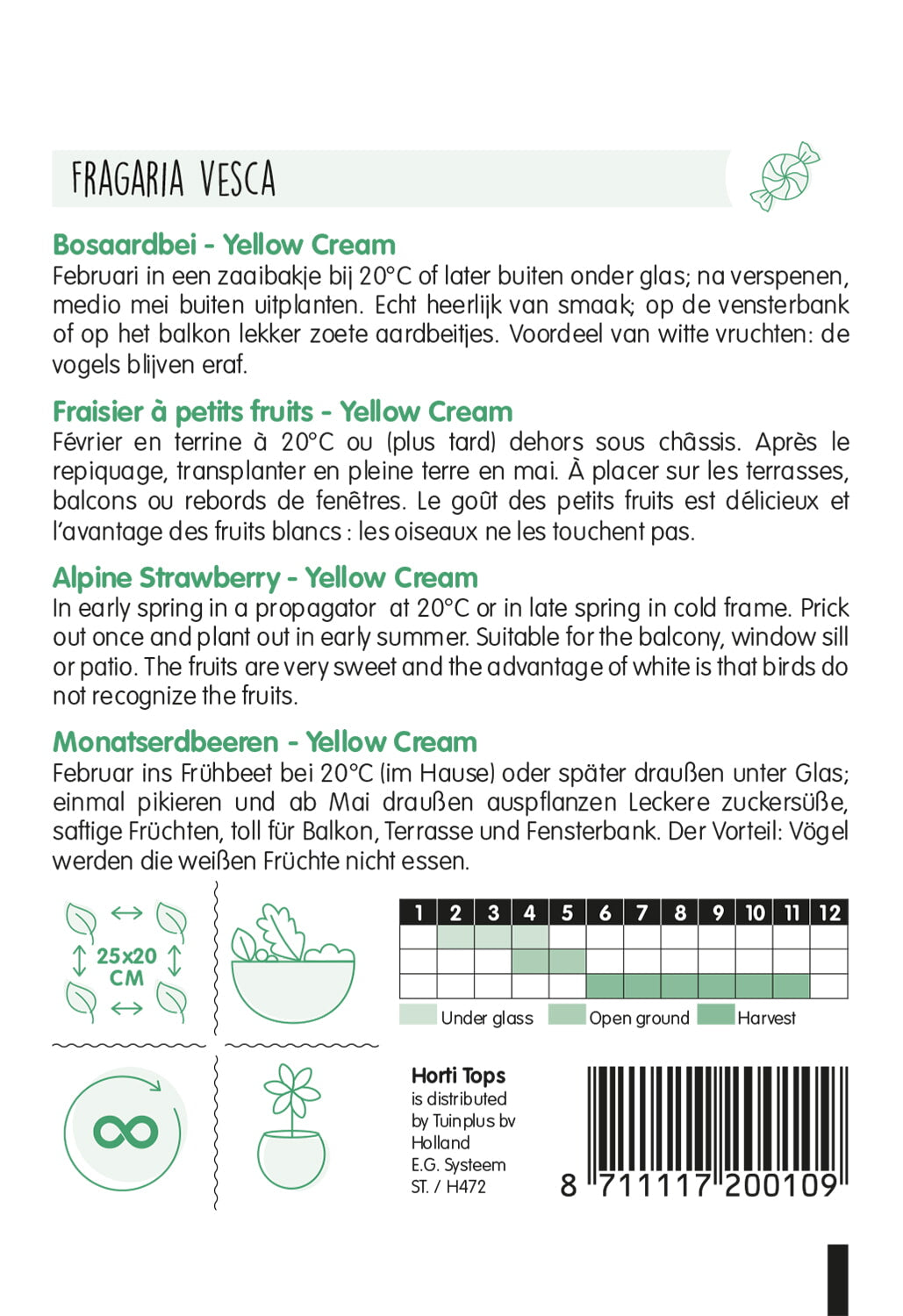 HT Bosaardbei - Yellow Cream