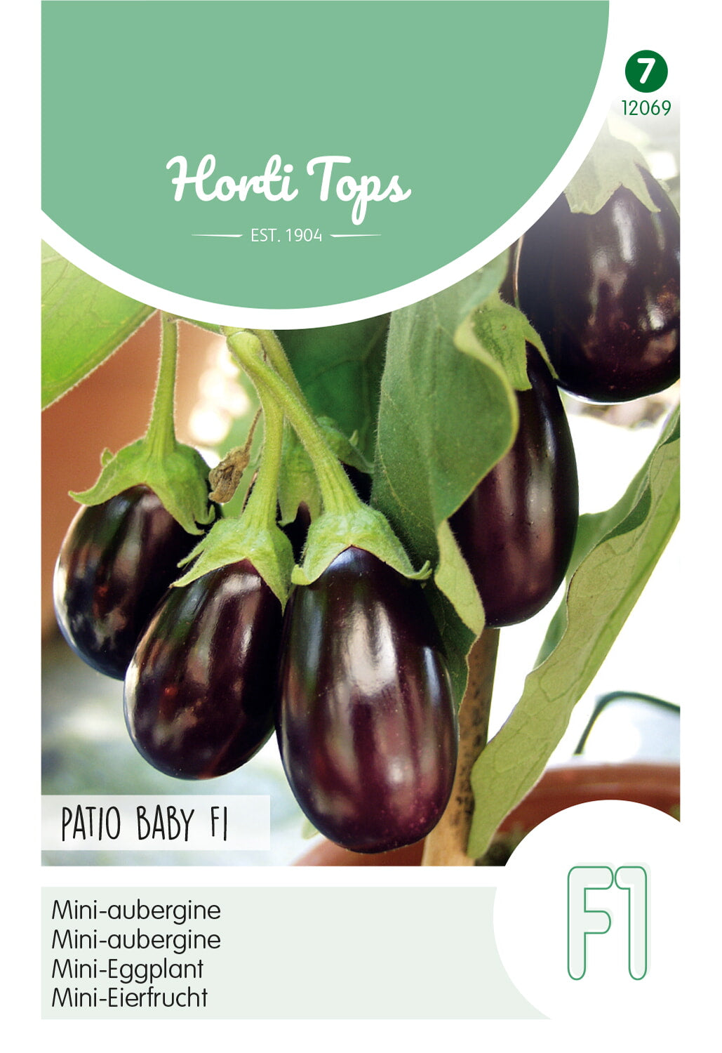 HT Aubergine mini Ophelia F1 (wordt Patio Baby f1)