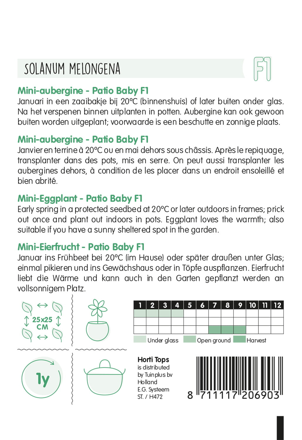 HT Aubergine mini Patio Baby F1