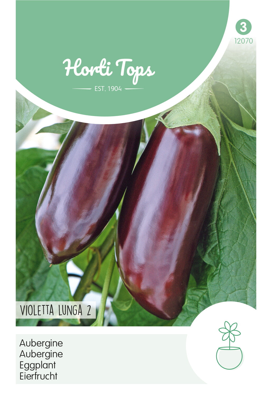 HT Aubergine Violetta lunga 2