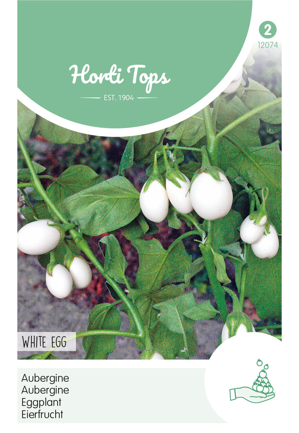 HT Aubergine White Eggs