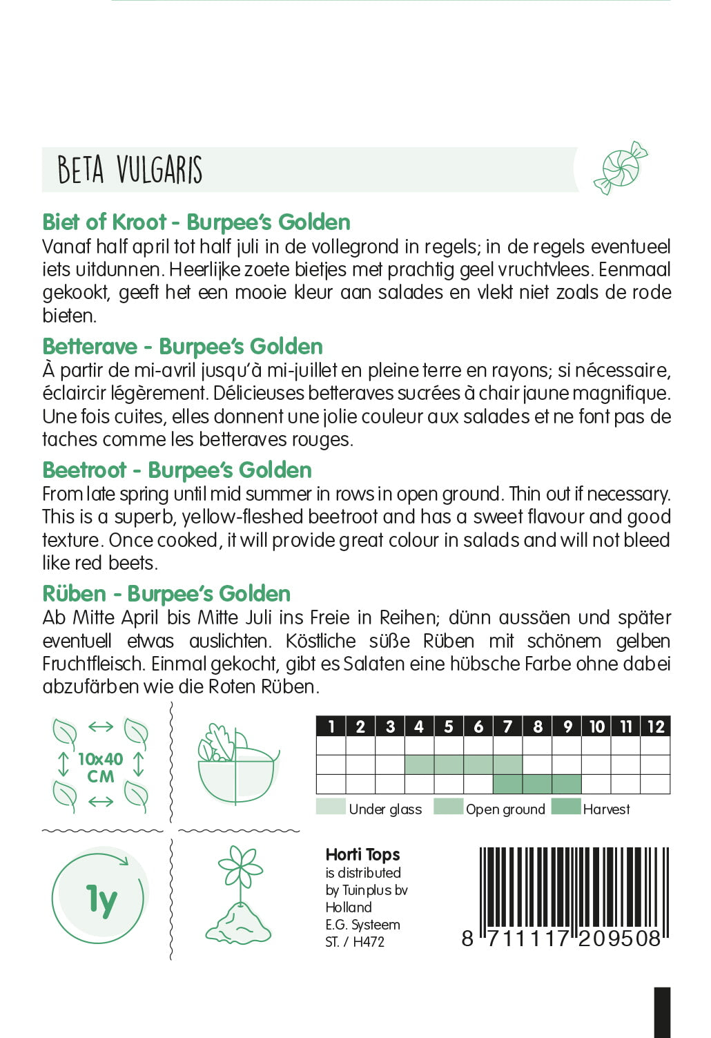 HT Bieten Burpee's Golden