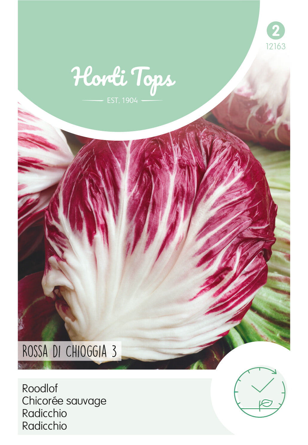 HT Radicchio Rossa Di Chioggia (Palla Rossa)