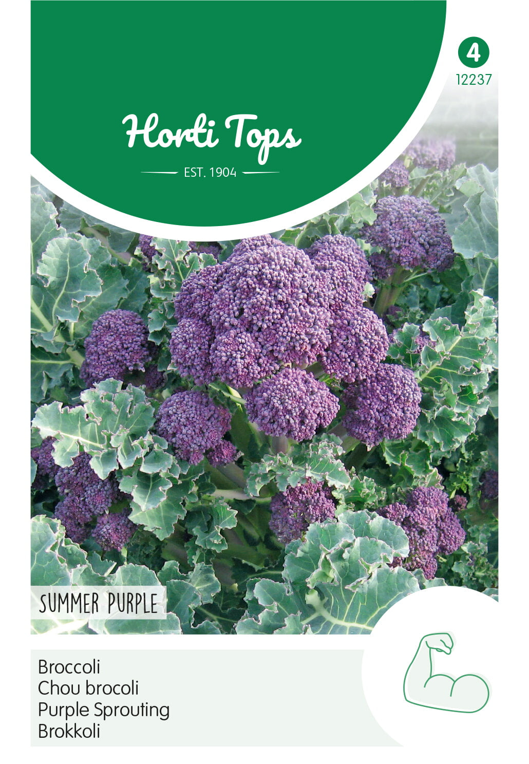 HT Broccoli Summer Purple