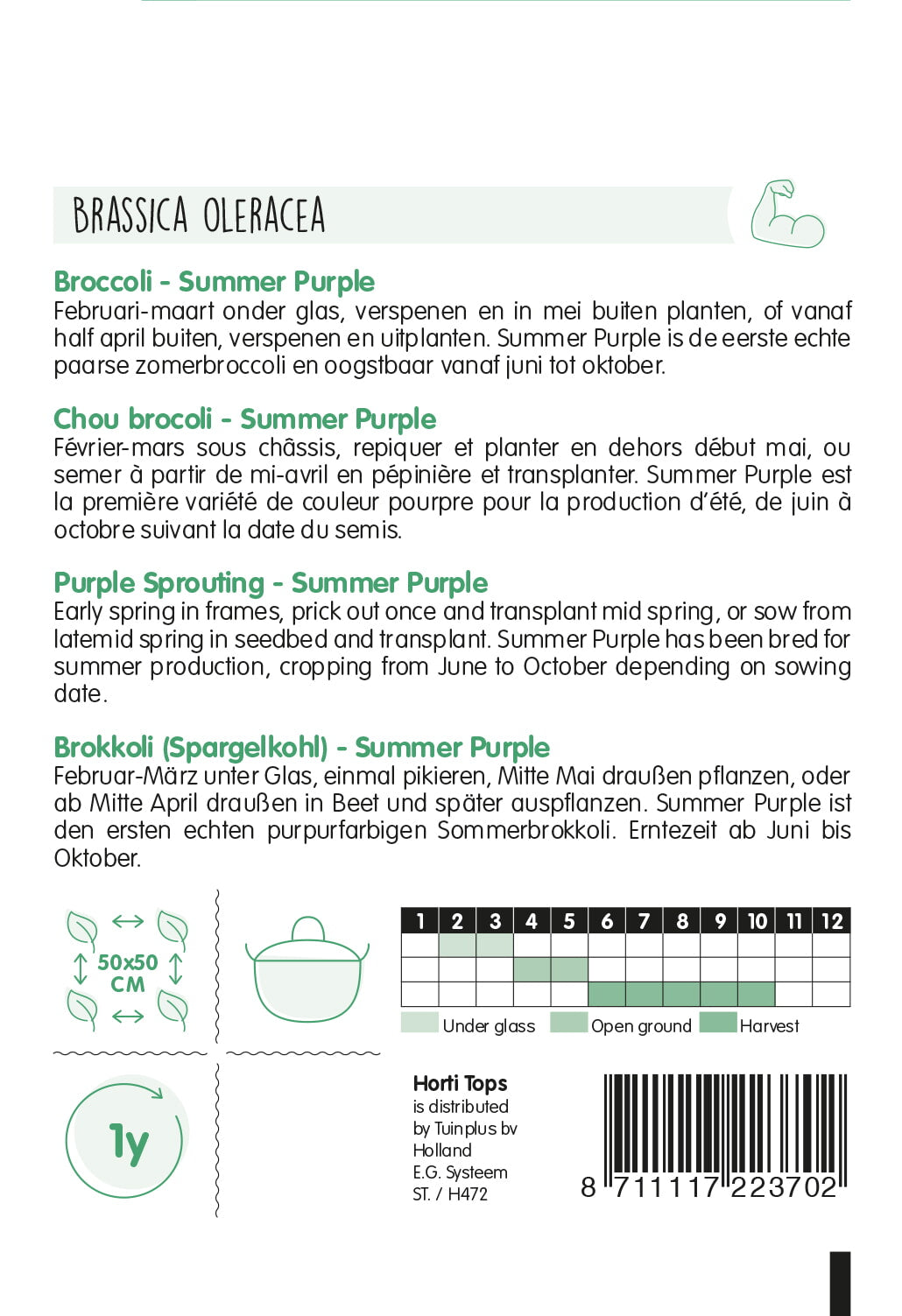 HT Broccoli Summer Purple