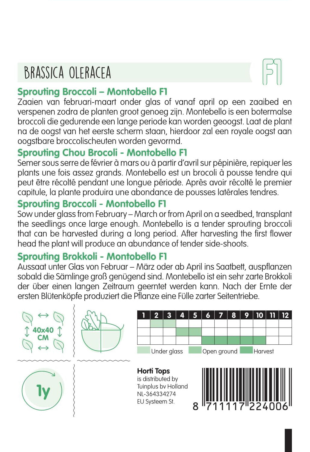 HT Sprouting Broccoli Montobello F1