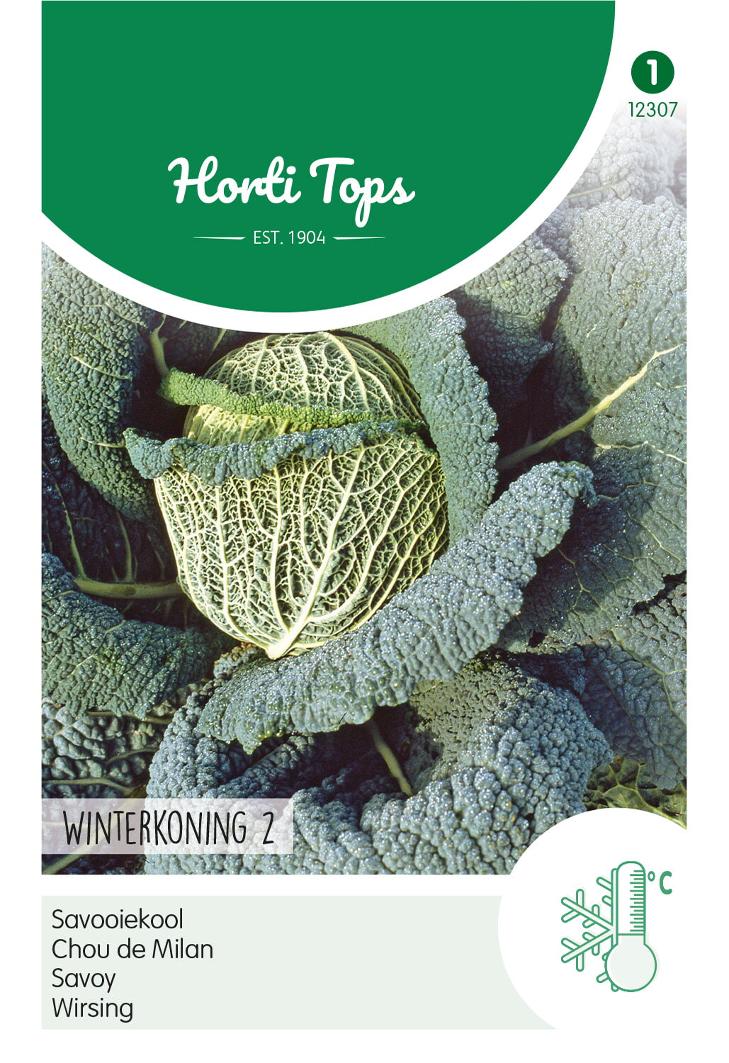 HT Savooiekool Winterkoning 2