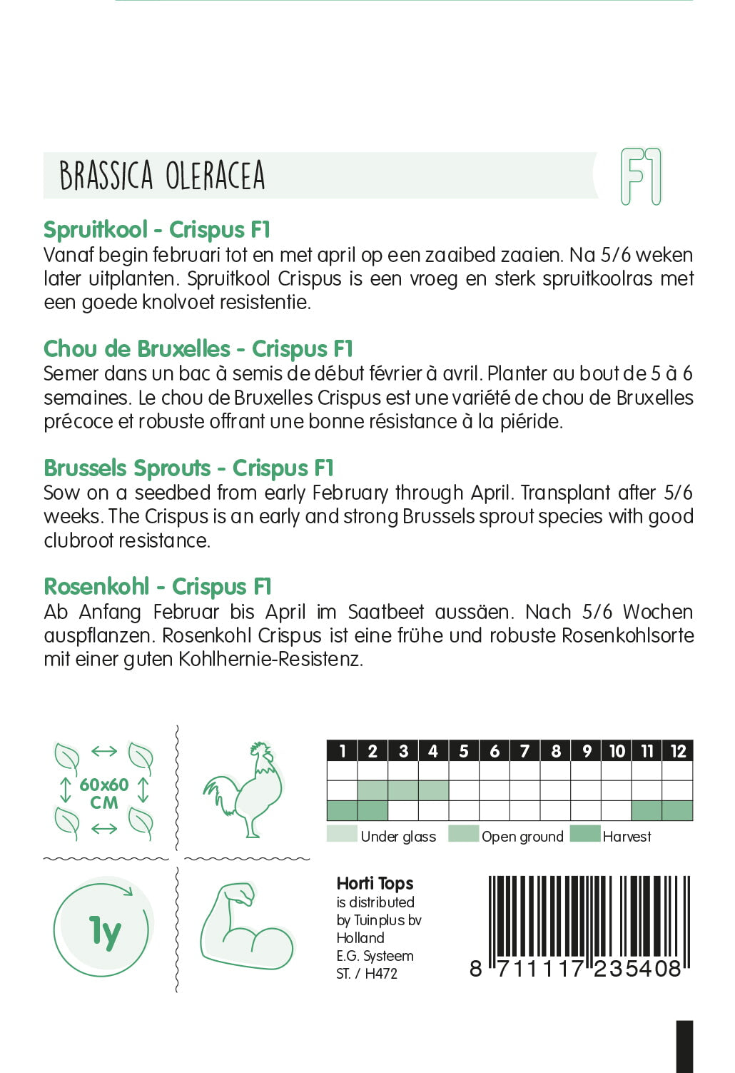 HT Spruitkool Crispus F1