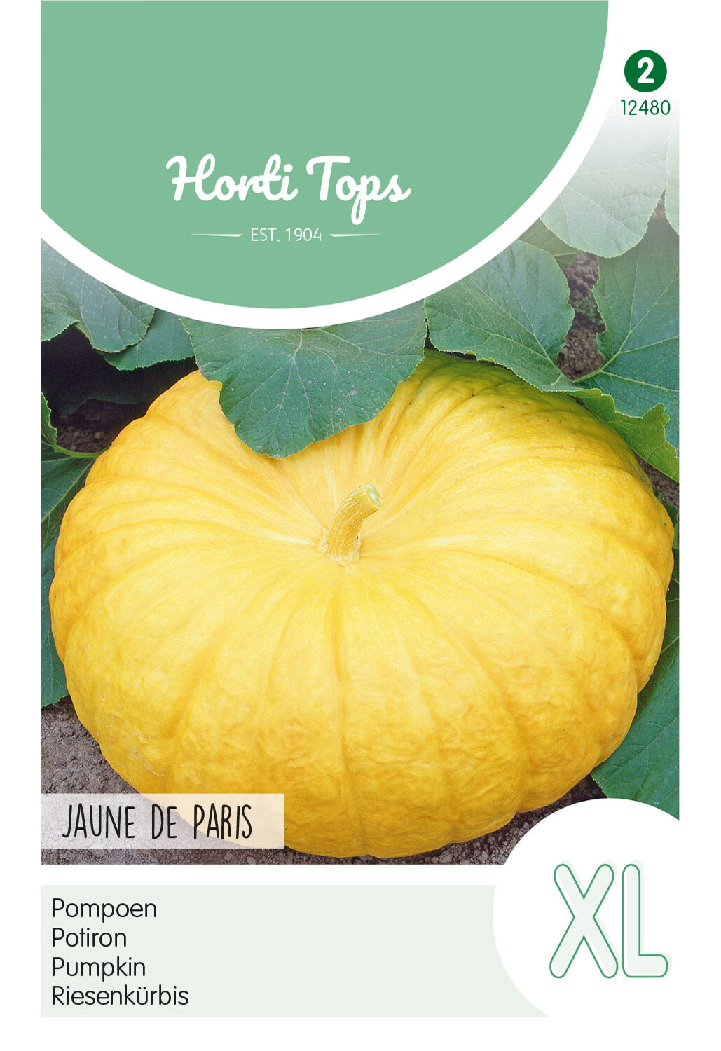 HT Pompoenen Jaune de Paris (Centenaar)