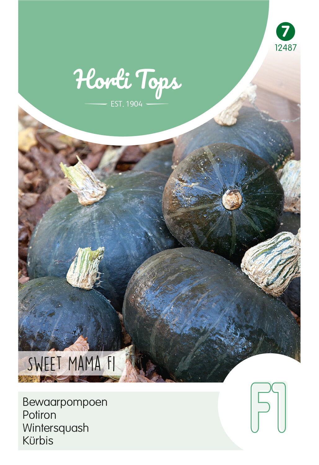 HT Pompoenen Sweet Mama F1