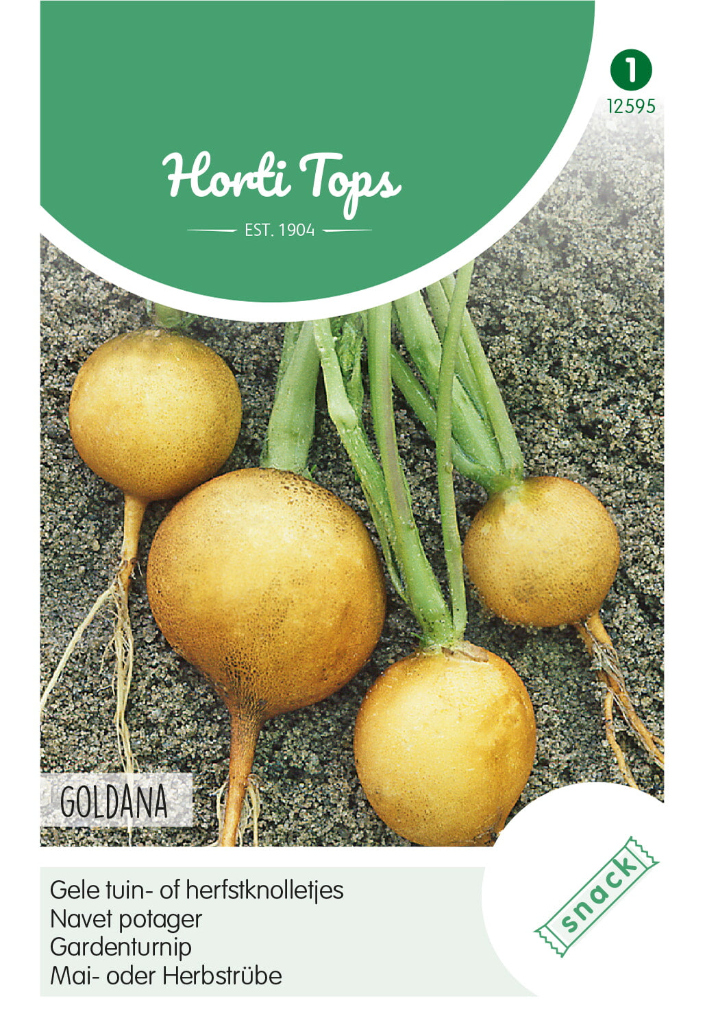 HT Gele tuin- of herfstknolletjes Goldana