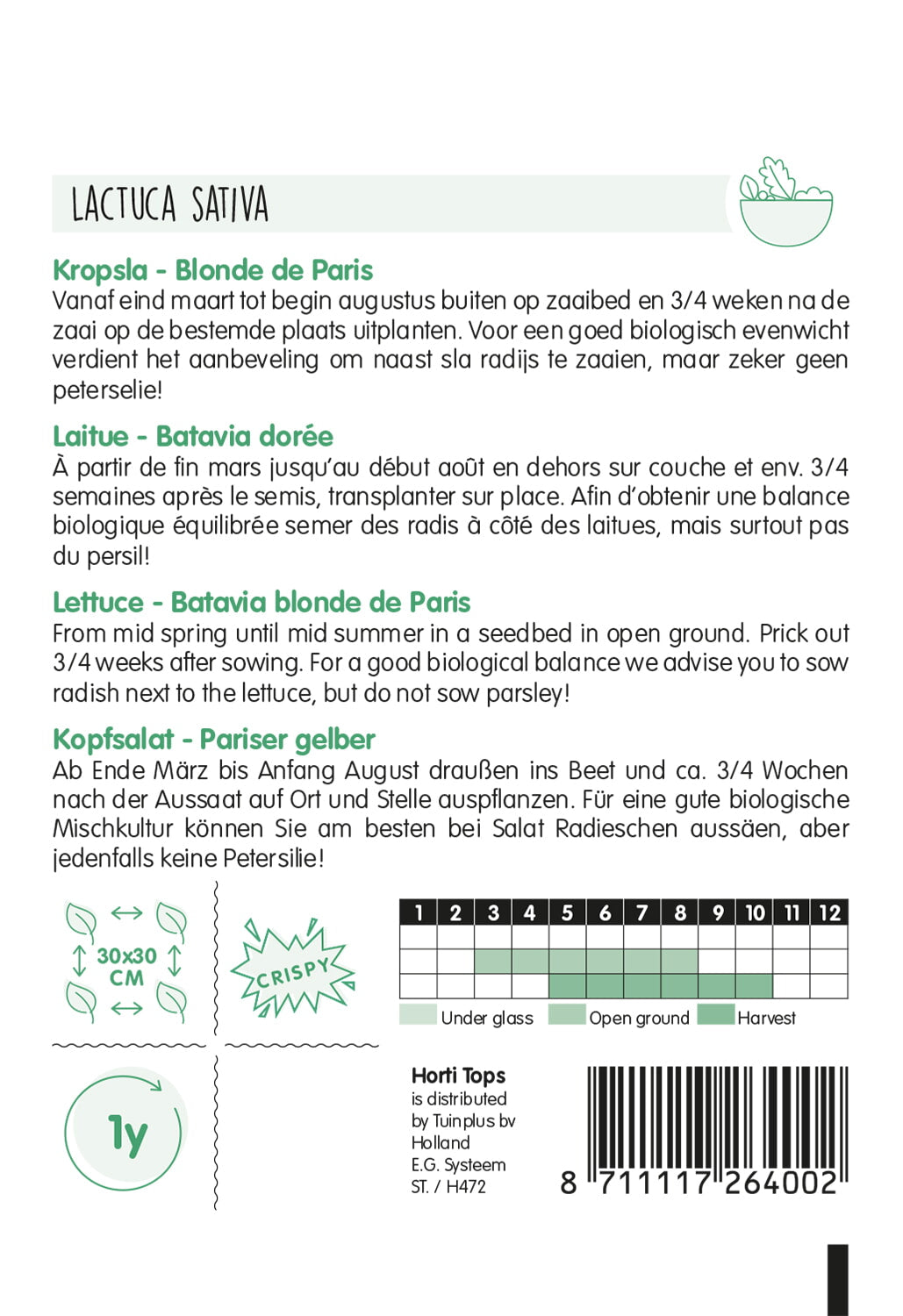 HT Kropsla Batavia Blonde (Sla-Andijvie)