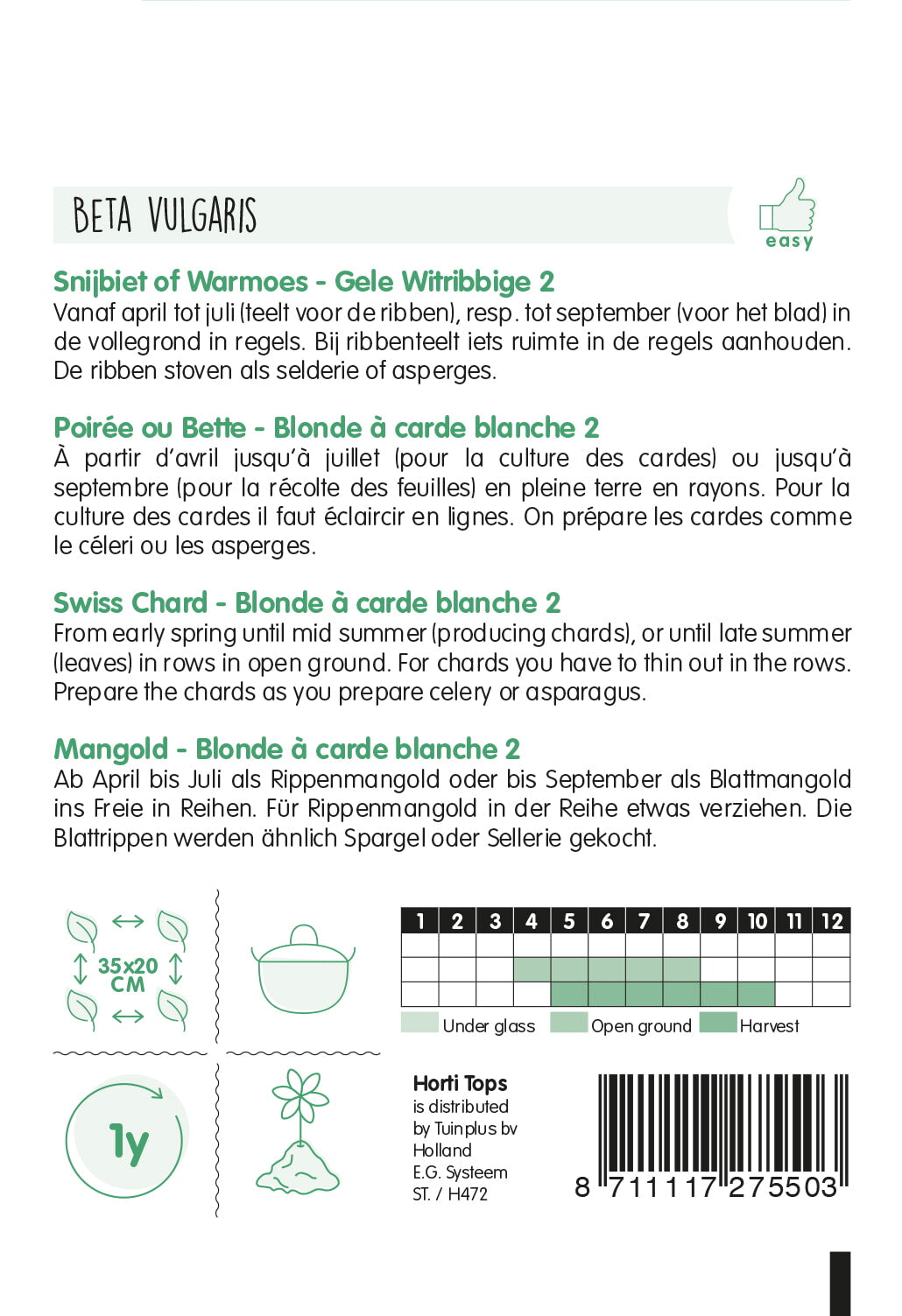 HT Snijbiet Blonde A Carde Blanche - Gele Witribbige 2