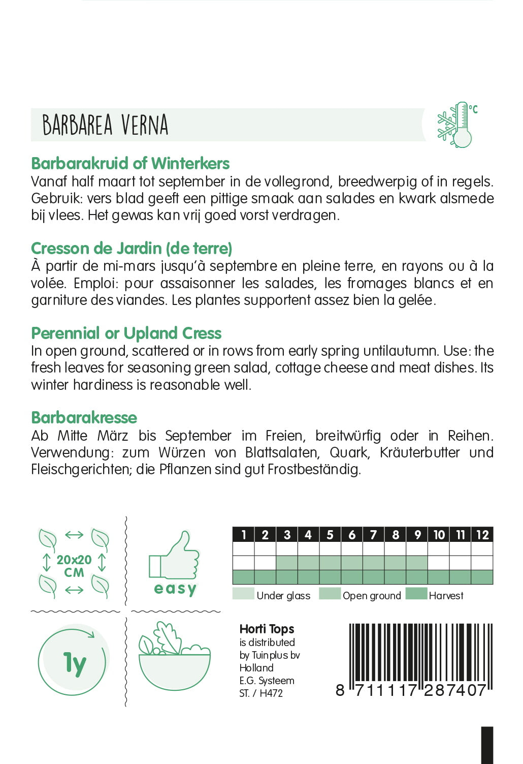 HT Tuinkers overblijvend, Barbarakruid