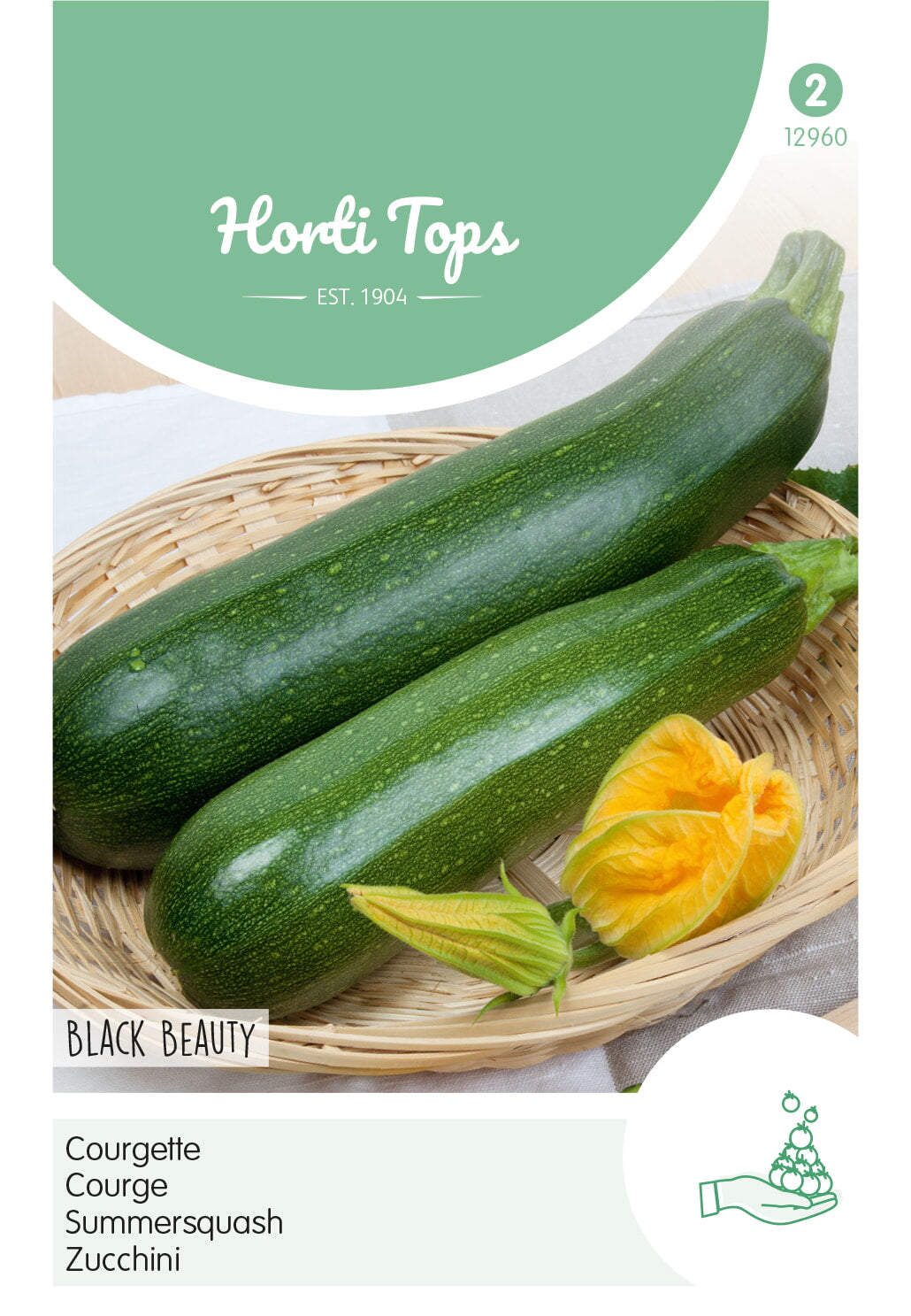 HT Courgette Black Beauty