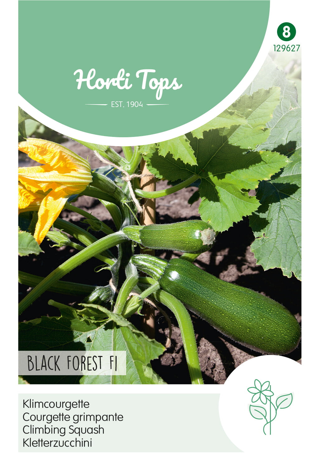 HT Courgette Black Forest F1 (klimmend)