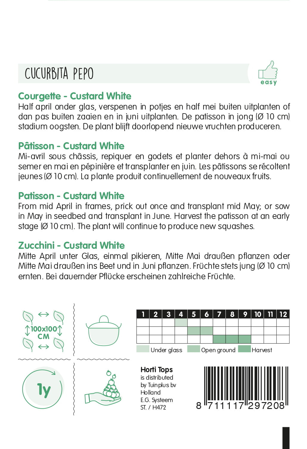 HT Courgette Custard White