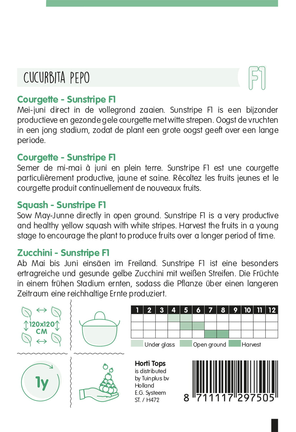 HT Courgette Sunstripe F1, geel