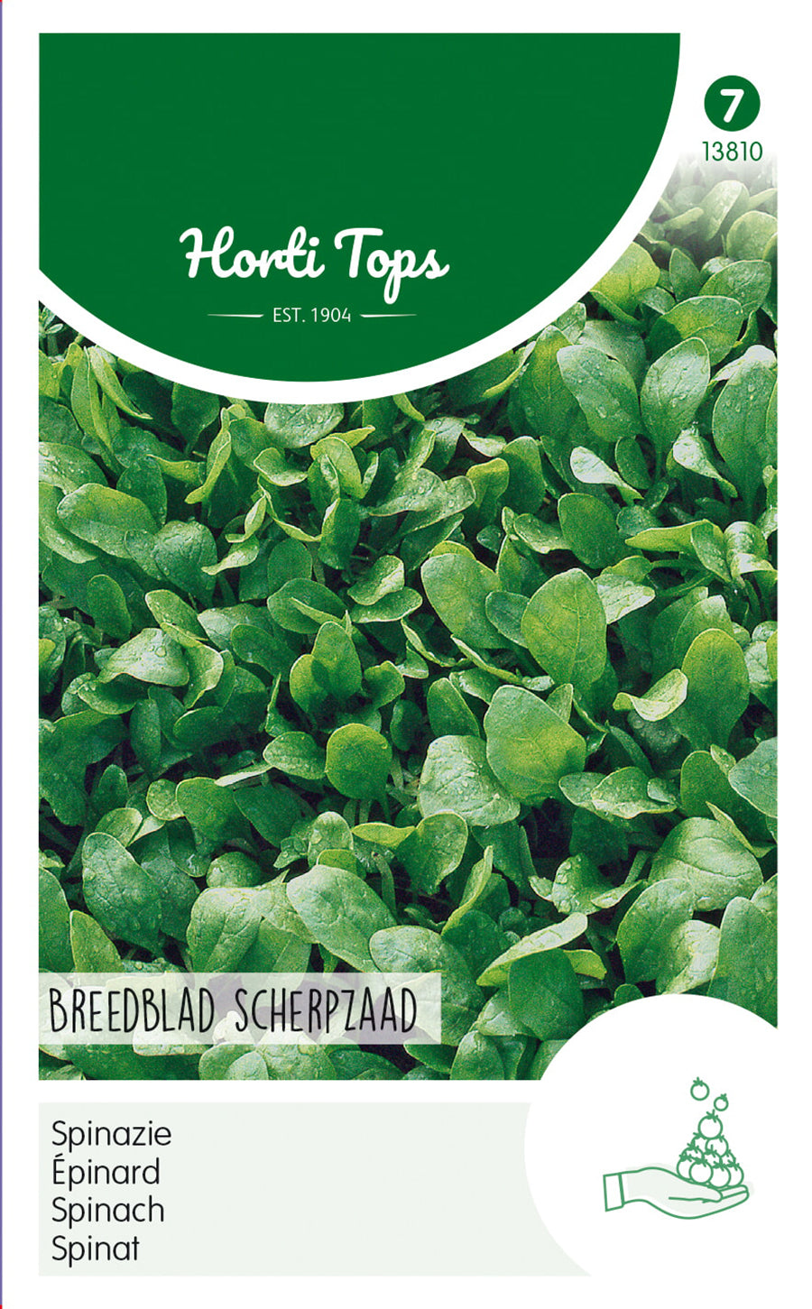 Spinazie Breedblad Zomer Scherpzaad, 250g