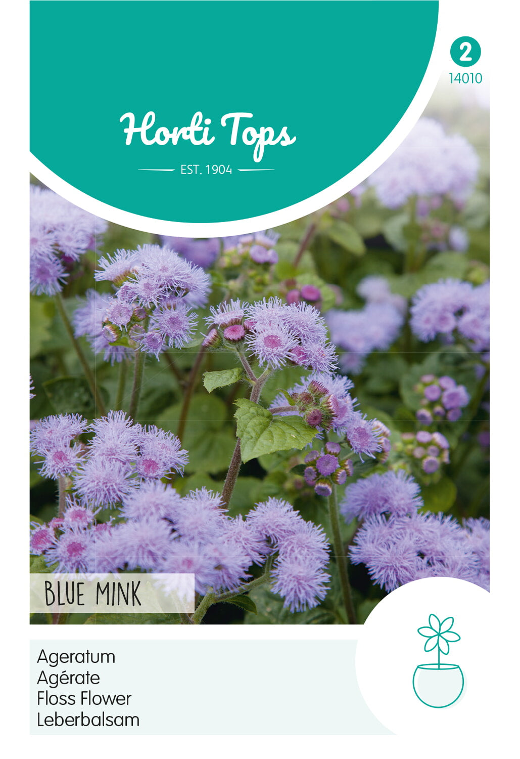 HT Ageratum, Leverbalsem Blue Mink