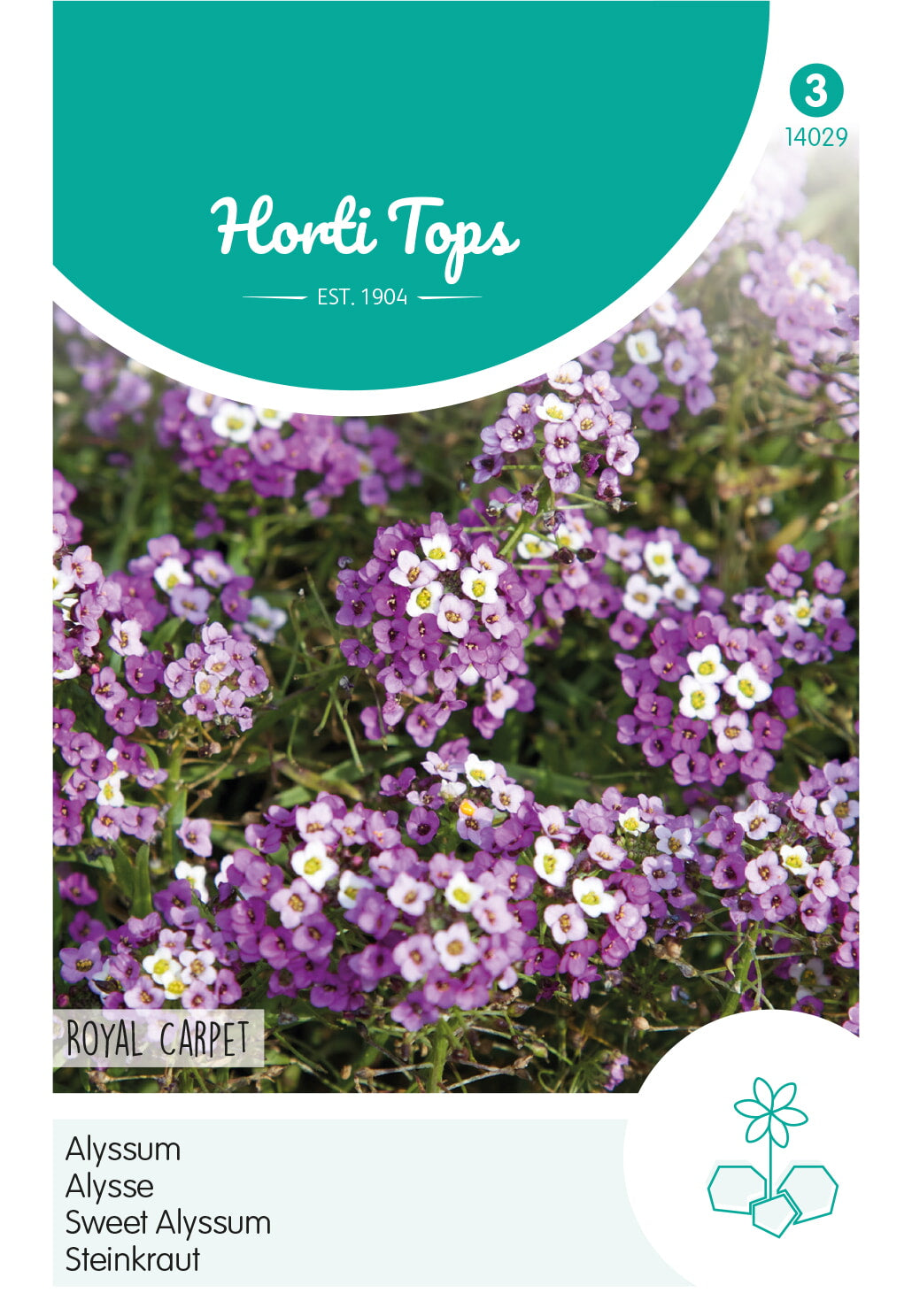 HT Alyssum Royal Carpet