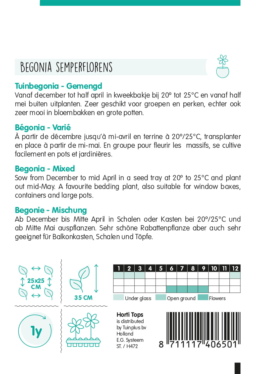HT Begonia, Tuinbegonia gemengd