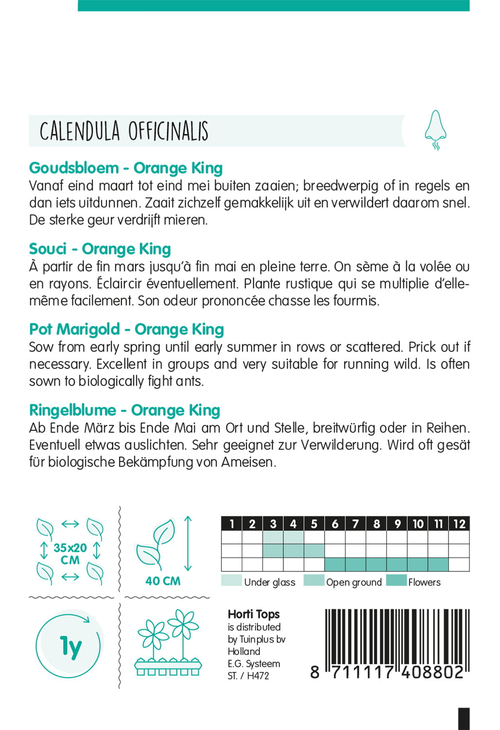 HT Calendula, Goudsbloem Orange King
