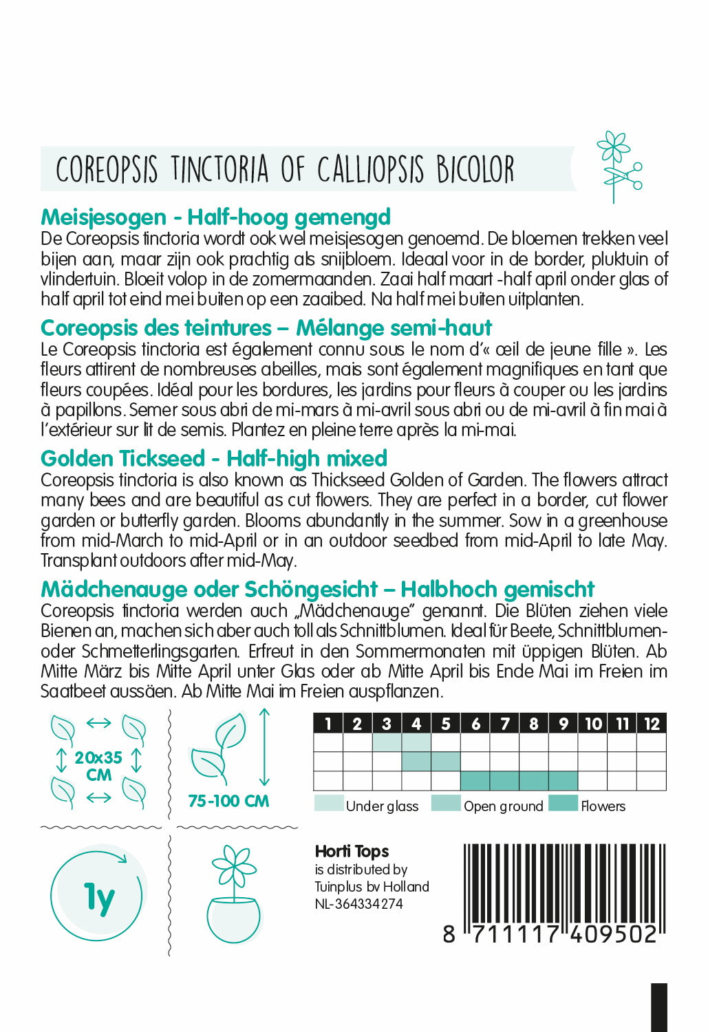 HT Coreopsis tinctoria half-hoog gemengd