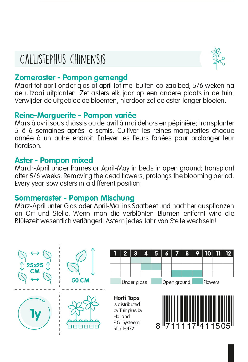 HT Callistephus, Zomeraster Pompon gemengd