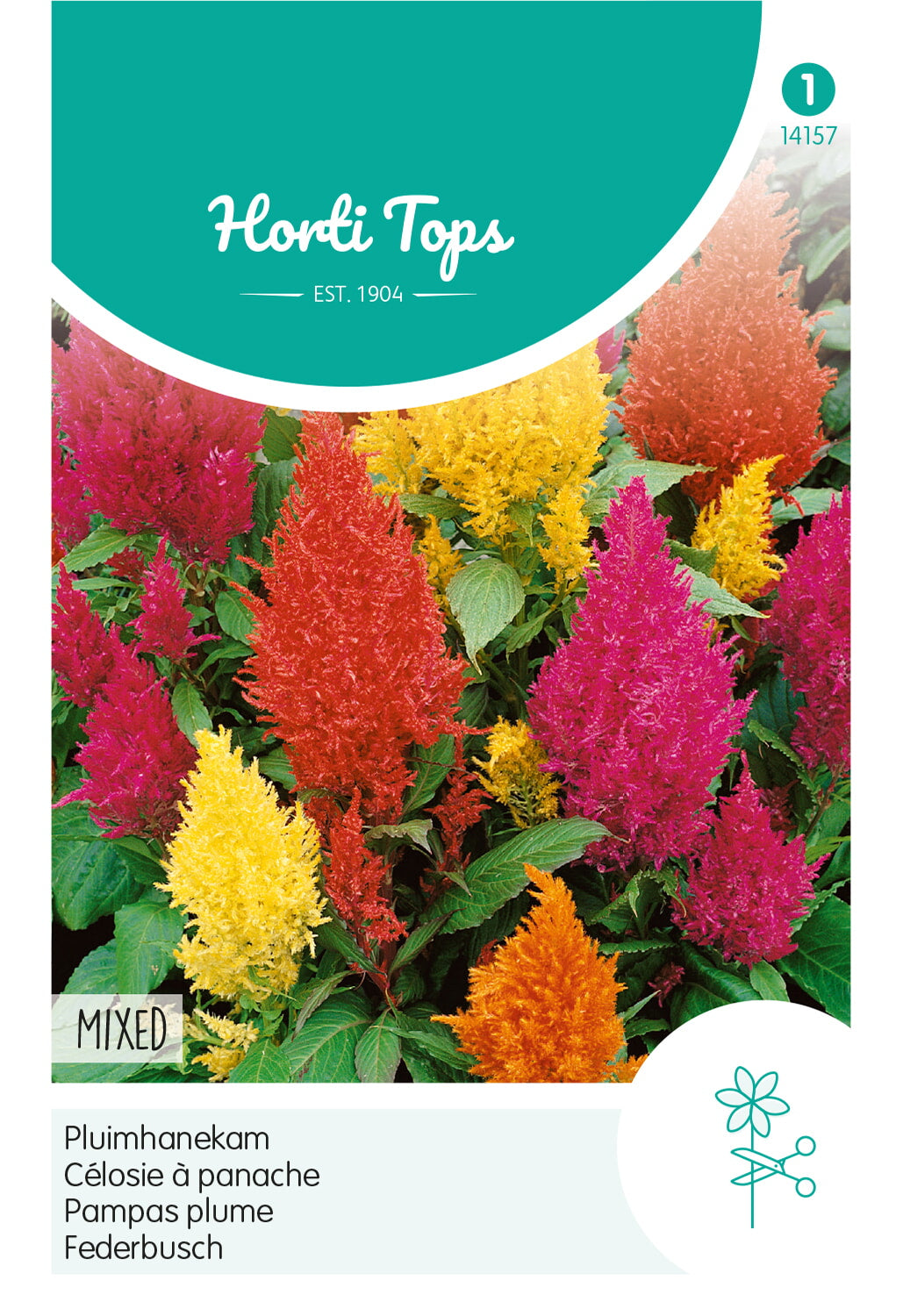 HT Celosia, Hanenkam (plumosa) gemengd