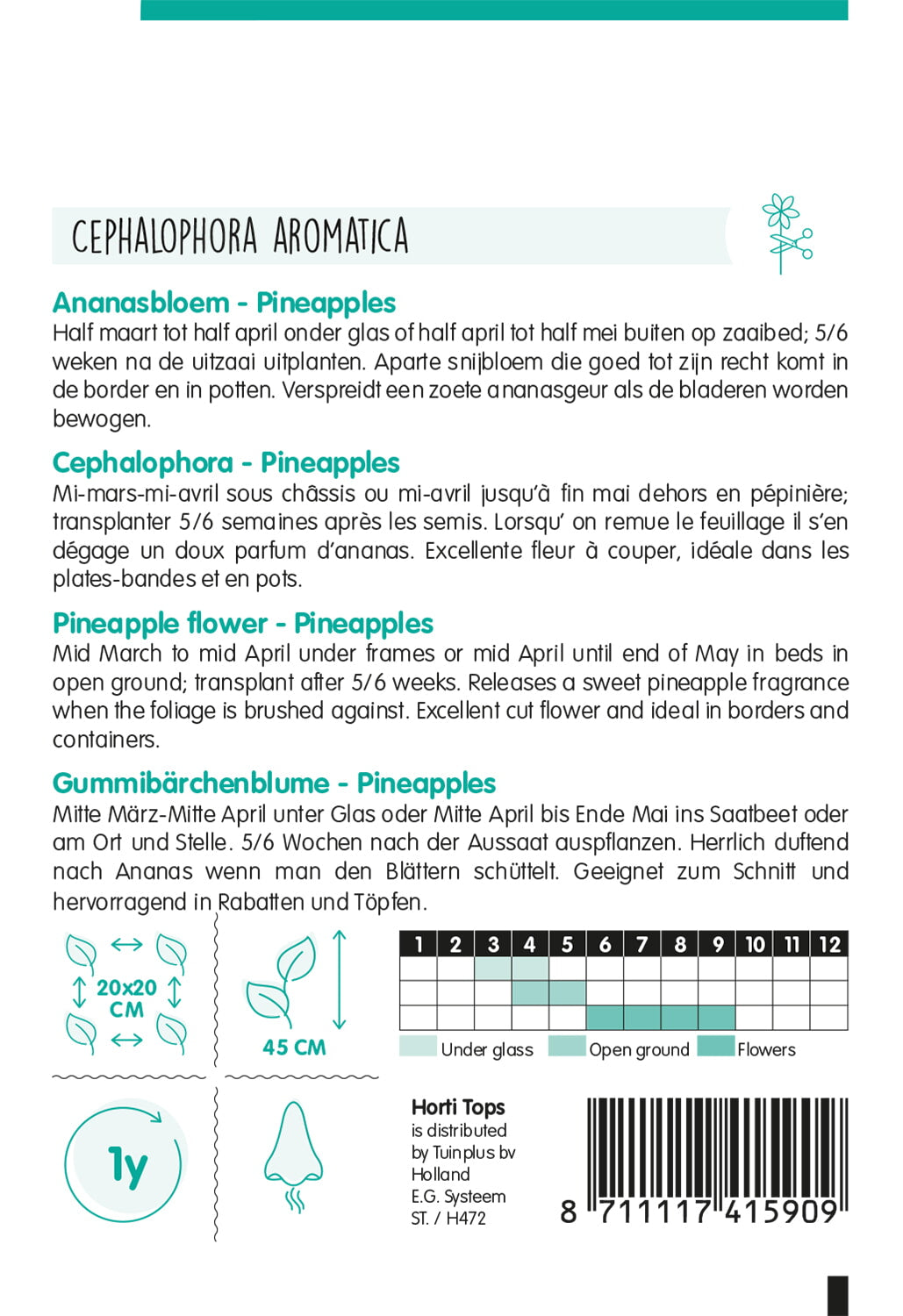 HT Cephalophora, Ananasbloem Pineapples