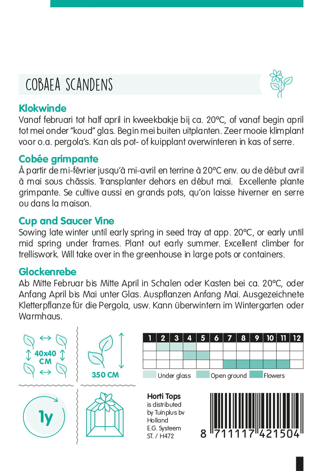 HT Cobaea, Klokwinde blauw