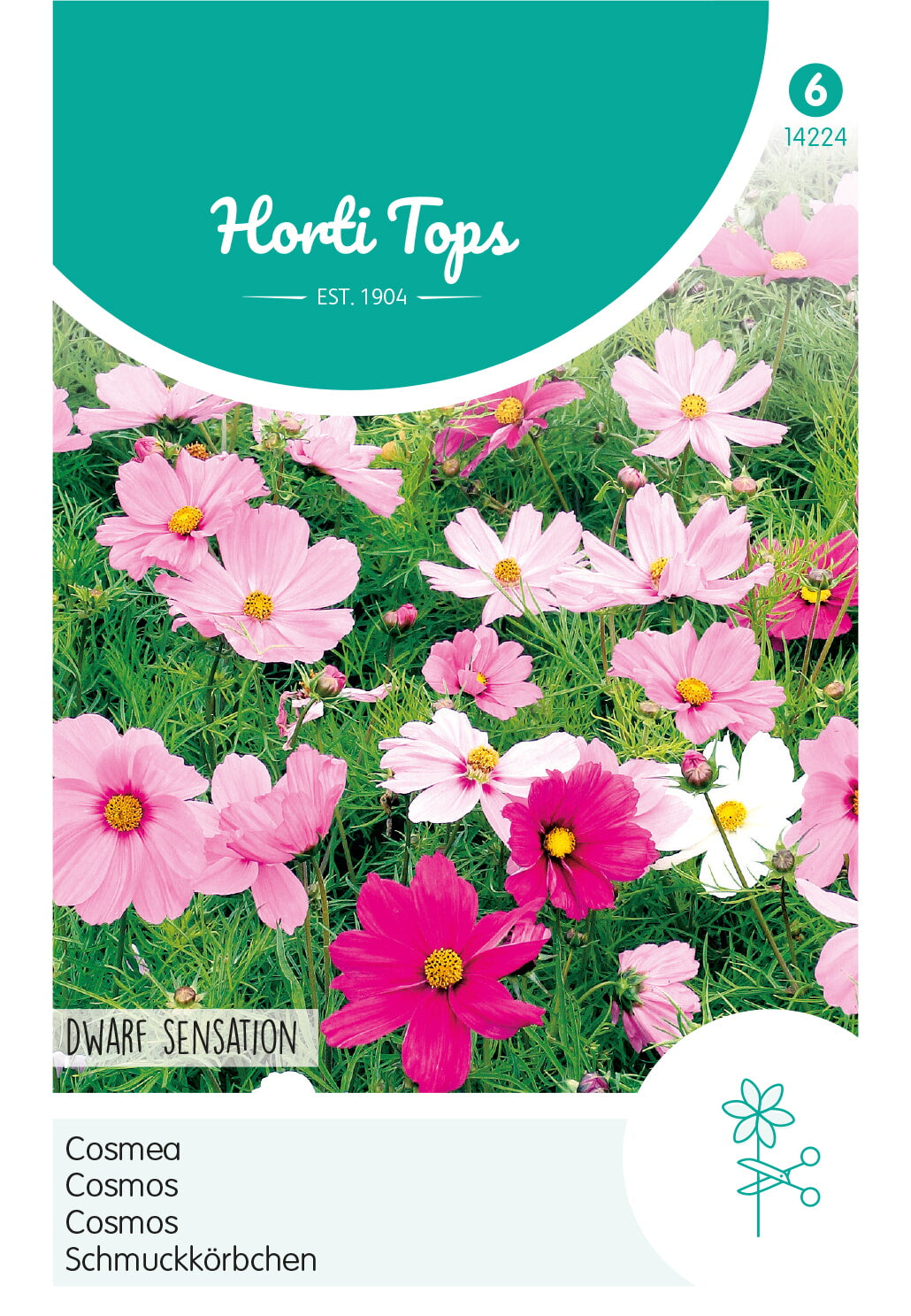 HT Cosmos, Cosmea Sonata gemengd