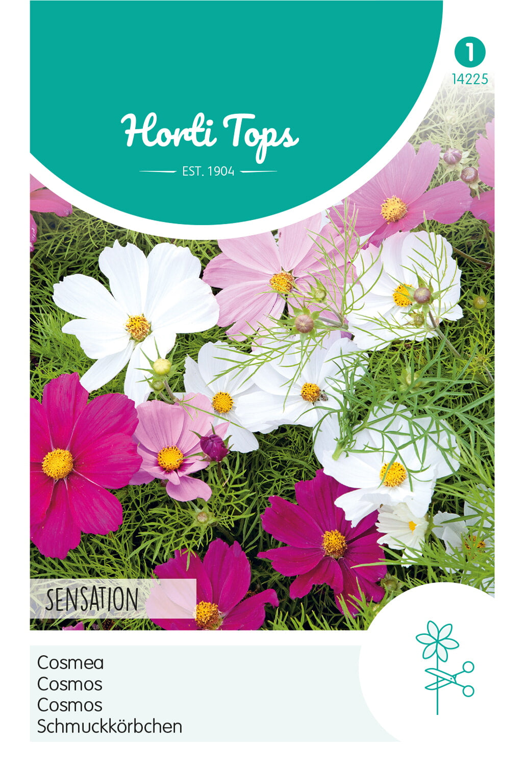 HT Cosmos, Cosmea Sensation gemengd