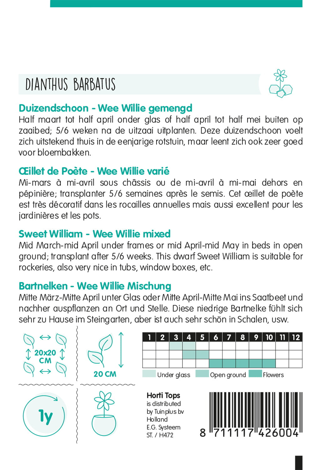 HT Dianthus, Duizendschoon Wee Willie gemengd