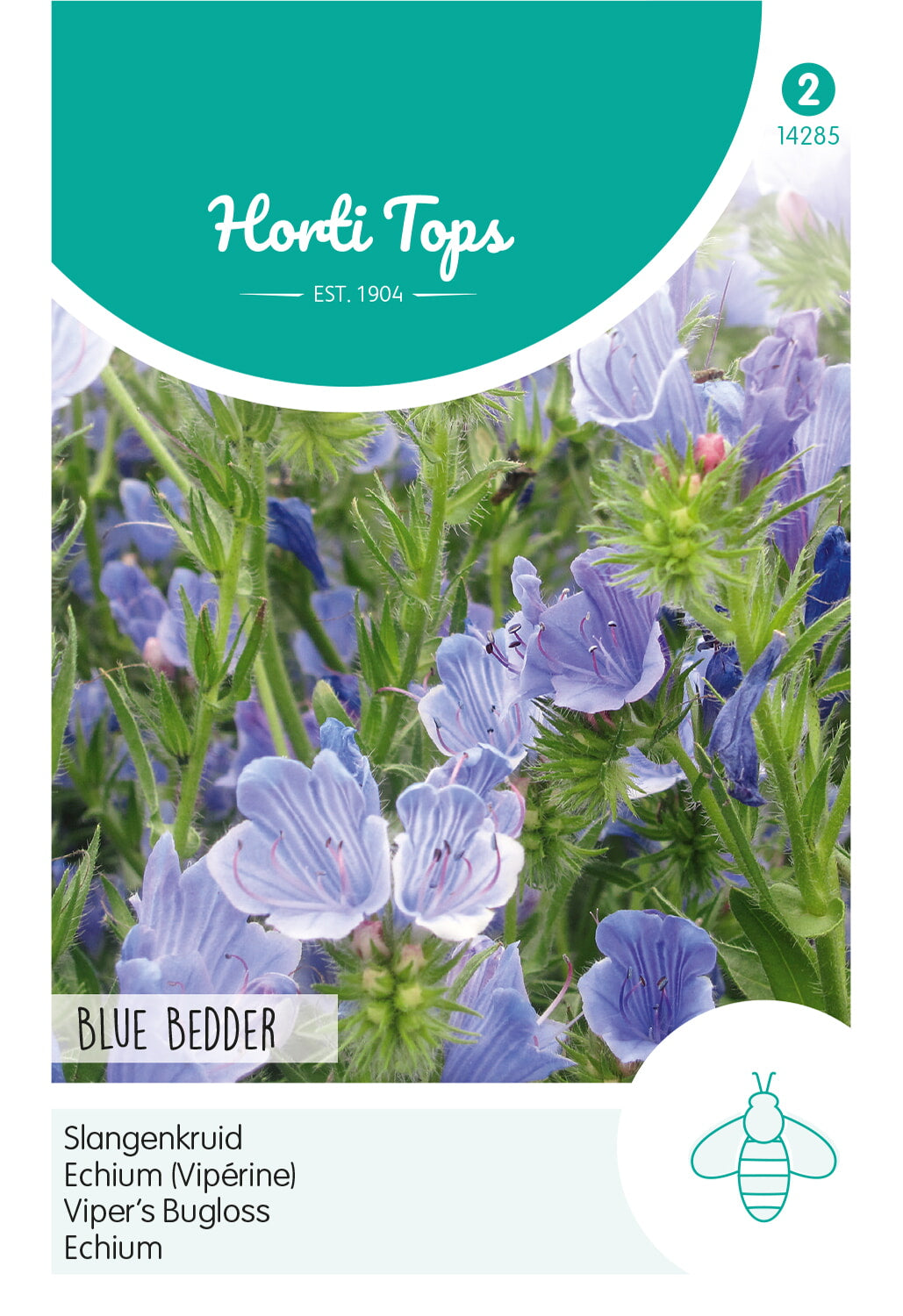 HT Echium, Slangenkruid Blue Bedder