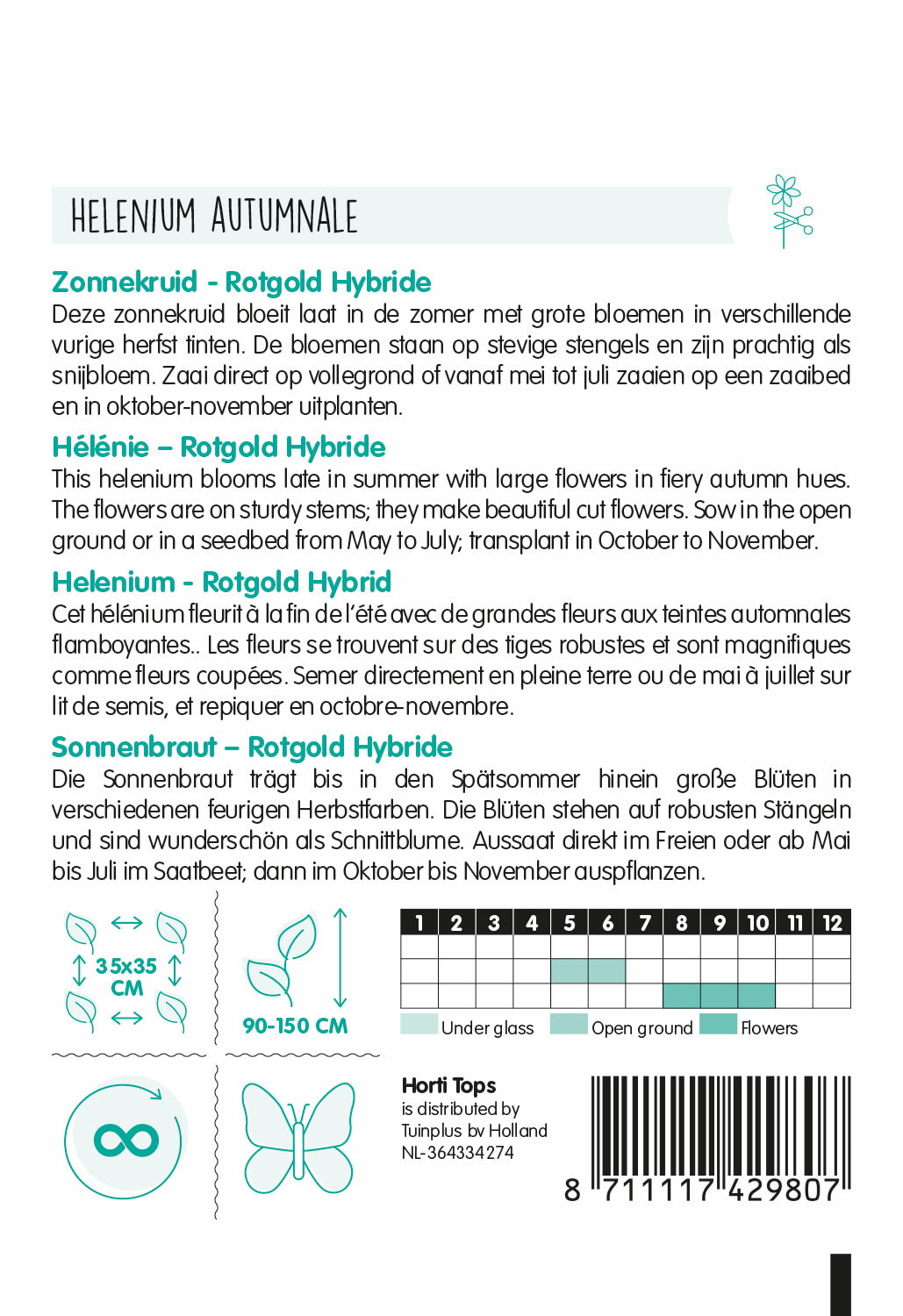 HT Helenium, Zonnekruid Rotgold Hybr.