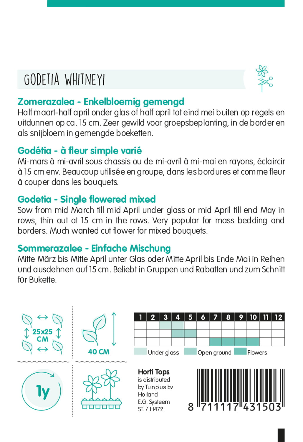 HT Godetia, Zomerazalea enkelbloemig gemengd