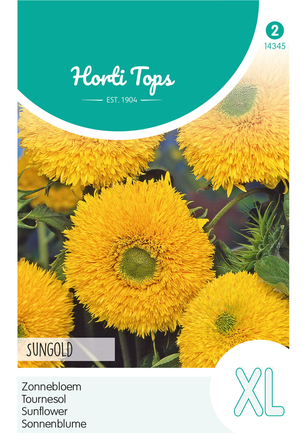 HT Helianthus, Zonnebloem Sungold dubbelbloemig hoog