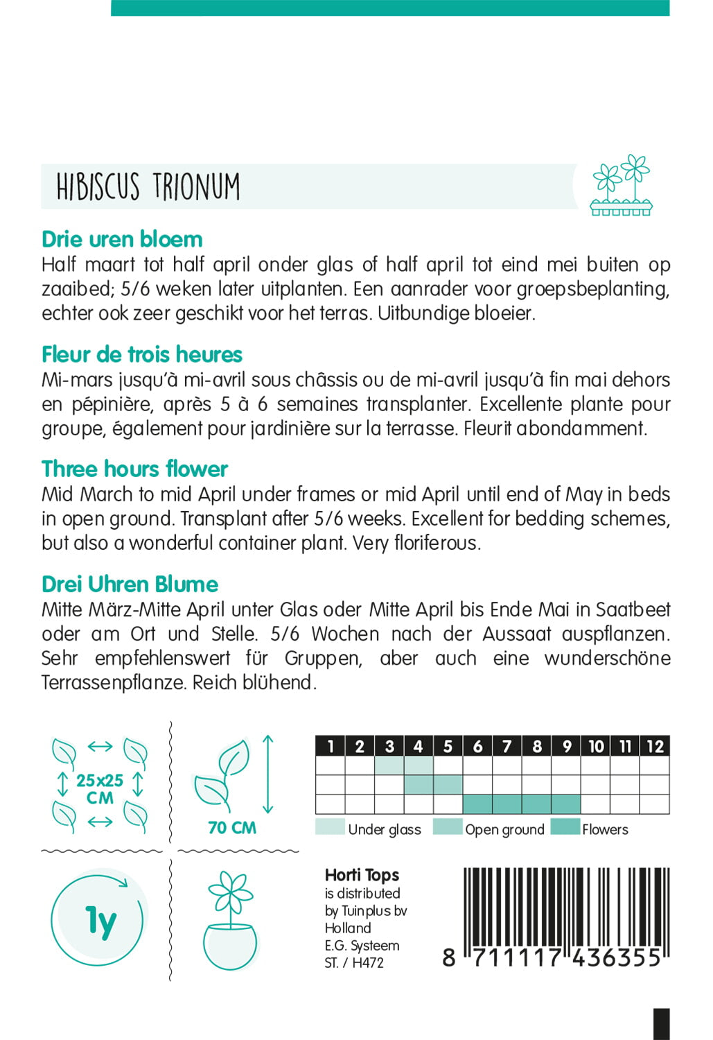 HT Hibiscus, Drie uren bloem