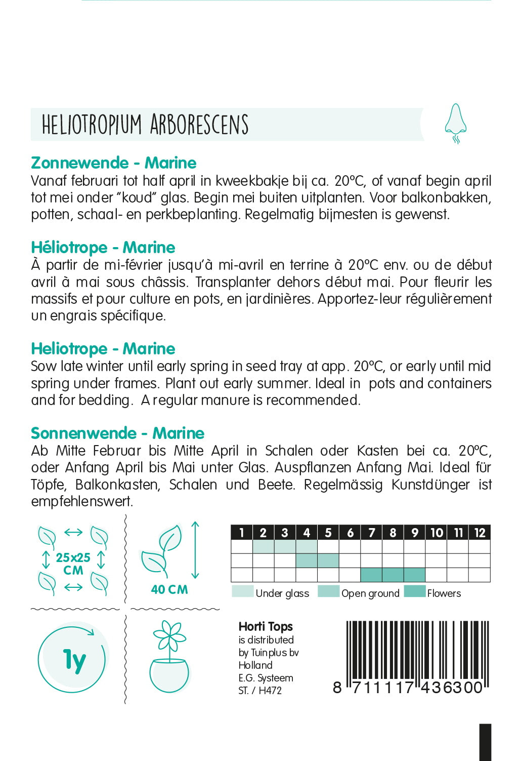 HT Heliotropium, Zonnewende Marine blauw