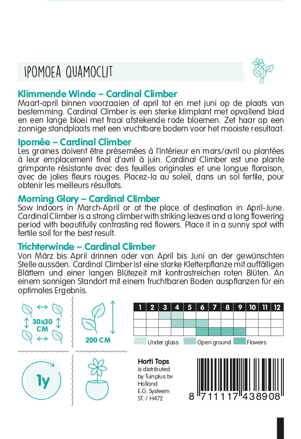 HT Ipomoea, Klimmende Winde, Cardinal Climber
