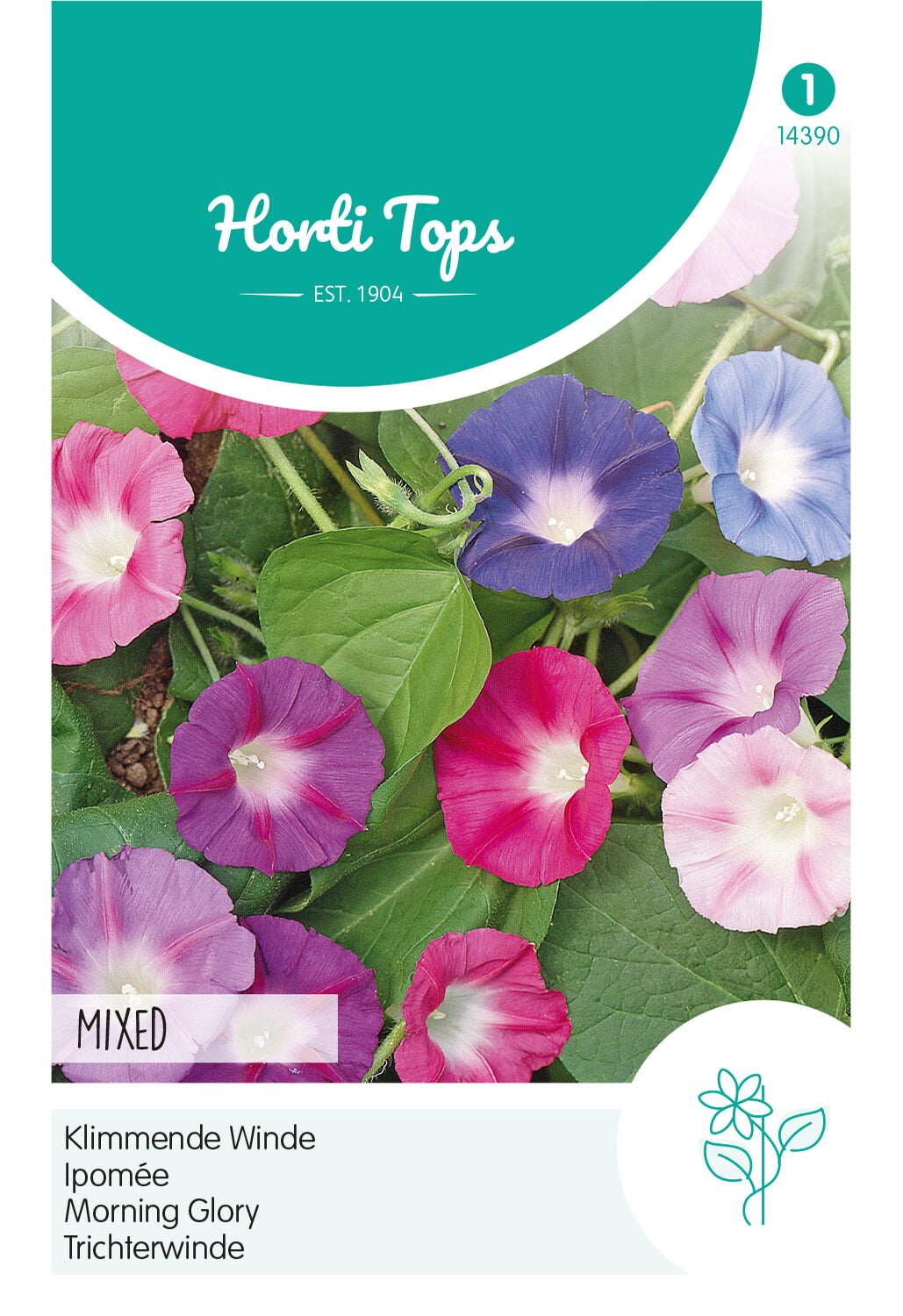 HT Ipomoea, Klimmende Winde gemengd