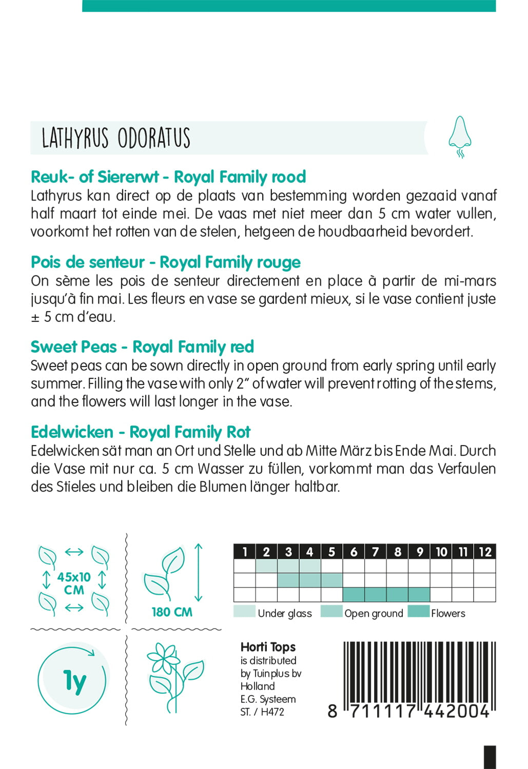 HT Lathyrus, Reuk- of Siererwt Royal Family Rood