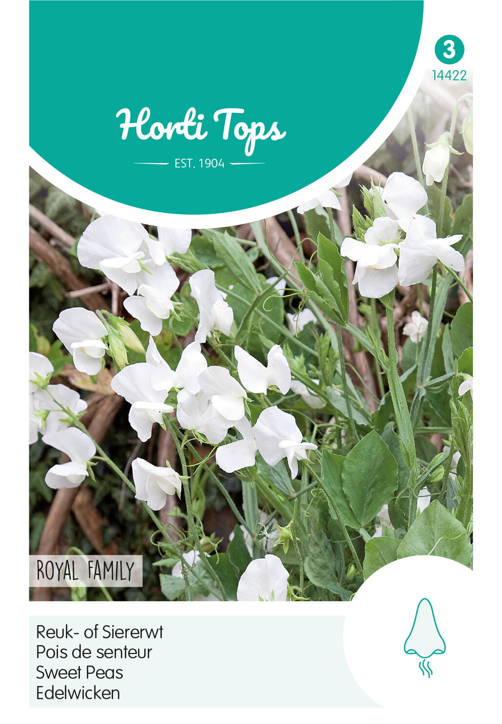 HT Lathyrus, Reuk- of Siererwt Royal Family Wit