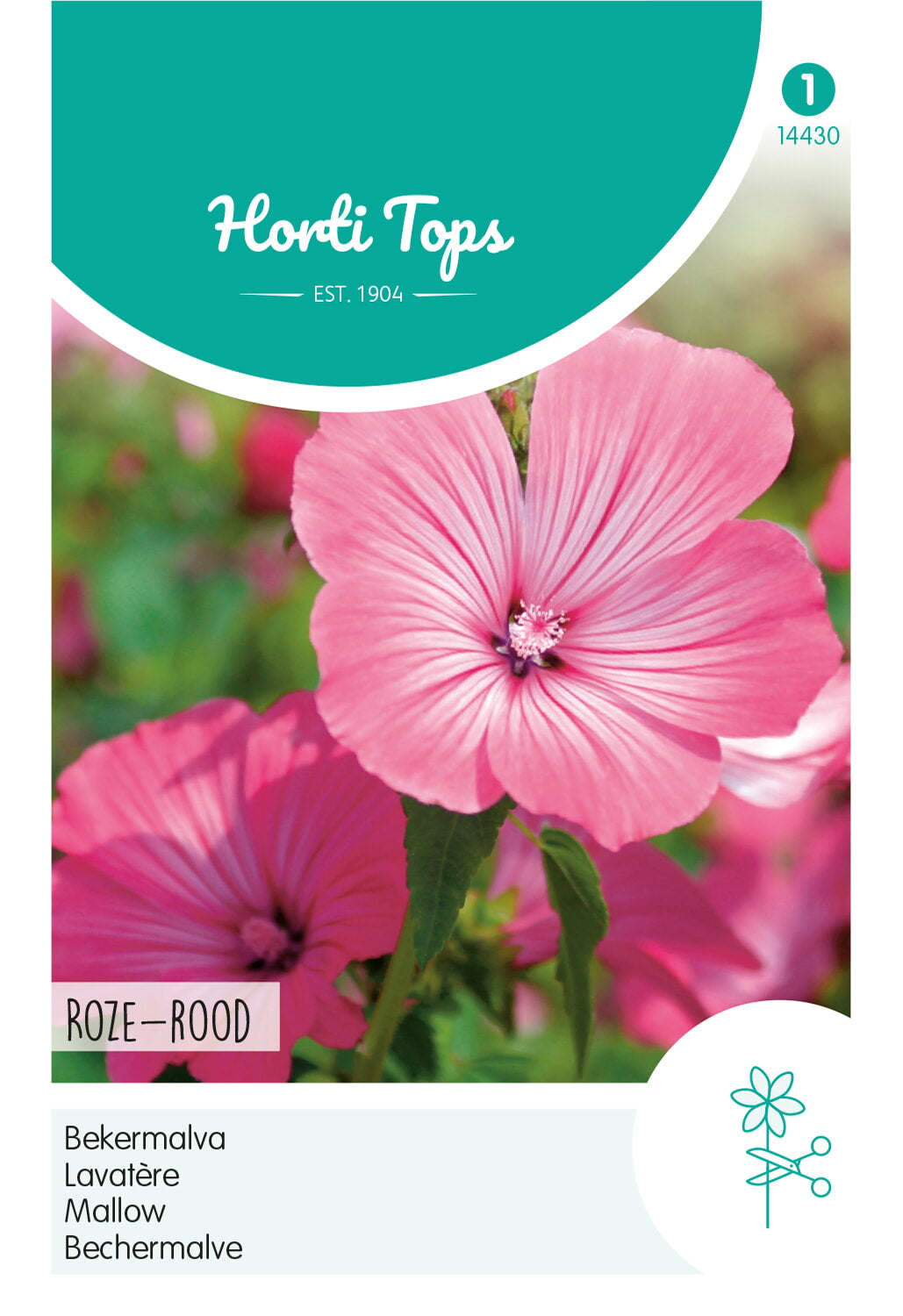 HT Lavatera, Bekermalva Rose/Rood