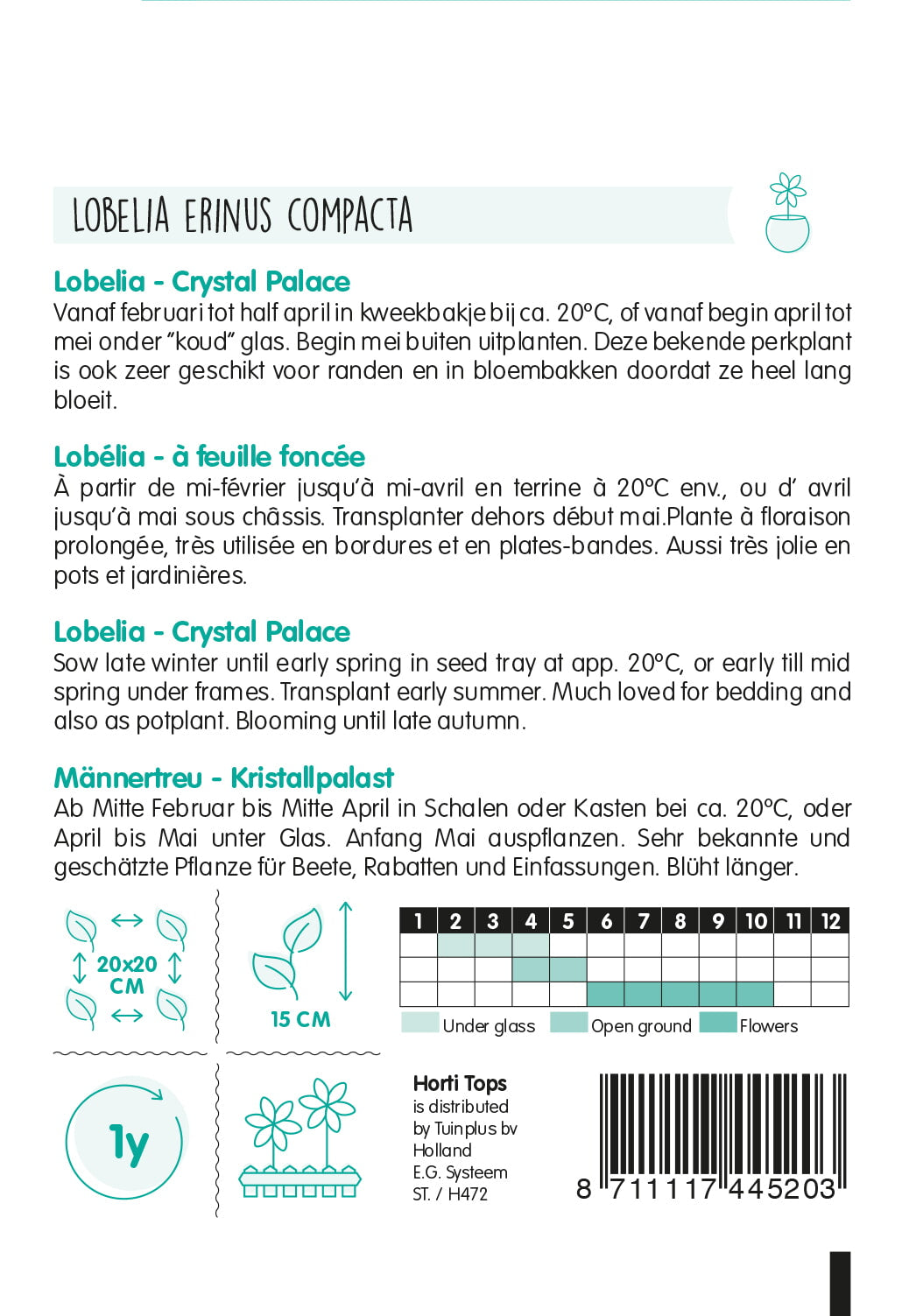 HT Lobelia Crystal Palace